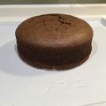 Gingmeimei 的 巧克力戚風蛋糕 cooksnap