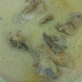 Cooksnap dari Estiana Fauzi untuk resep Ayam gulai pedas fiber creme