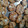 El cooksnap de alejandra sosa cuando hizo Galletas de avena y coco con un toque de chocolate.