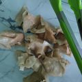 Cooksnap dari Biba untuk resep Dimsum : Siomay Ayam Udang