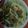 Cooksnap dari Nisa Icot untuk resep Tumis Bakso Labu Siam #BikinRamadanBerkesan