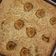 Cooksnap dari TanDebby untuk resep Bolu pisang oven tangkring