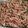Catalina's cooksnap of when they made Catalina Tuna Pasta Salad.