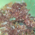 El cooksnap de Laura Edith Cornejo cuando hizo Hamburguesas de carne sin huevo ni tacc.