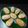 Keya Mandal's cooksnap of when they made জিভে গজা (jibhe goja recipe in Bengali).