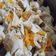 Cooksnap dari Andajani JayKay untuk resep Siomay Ayam Udang Empuk