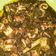 Cooksnap dari Indri Budhy untuk resep Cumi woku blanga