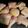 El cooksnap de María Herrera cuando hizo Como trozar un pollo de forma fácil.