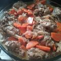 El cooksnap de ANDRU cuando hizo Vizcacha en escabeche.