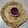 Falguni Shah's cooksnap of when they made આલુ પરોઠા (Aloo Paratha Recipe In Gujarati).