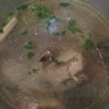 Cooksnap dari Novi Puji untuk resep Soto ayam bening simple
