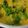 Anny Faisal's cooksnap of when they made Mix daal loki.