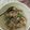 Cooksnap dari Indah Ayu untuk resep Cumi asin cabe ijo