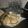 El cooksnap de Elysee cuando hizo Galletitas de canela.