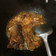 Cooksnap dari Anggi Afrianny untuk resep Ikan patin bumbu kecap