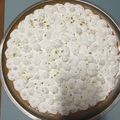 El cooksnap de Sol cuando hizo Pay de limón con merengue (lemon pie).