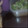 El cooksnap de Tamara Soria Moreno cuando hizo Batido natural / Smoothie🥤.