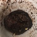 Cooksnap de mathilde aubry sur la recette Mug cake chocolat cétogène
