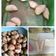 Cooksnap dari arum untuk resep Pisang molen mini krispy