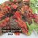 Cooksnap dari Emma Rosa untuk resep Dendeng balado