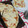 El cooksnap de Romina Anabel cuando hizo Pizza Media Masa o de Molde Casera.