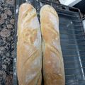 El cooksnap de carmen.mj2416 cuando hizo Baguettes en panificadora Moulinex.