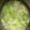 小汶醬 的 絲瓜湯 cooksnap