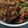 SHERIN's cooksnap of when they made நகரை ஃபிஷ் ஃப்ரை(fish fry recipe in tamil).