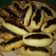 Cooksnap dari Henny Desriyanti untuk resep Pempek Belah