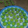 Cooksnap dari Yuni Karimatun Nisa untuk resep Puding Lumut Lapis Coklat