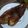 Cooksnap dari alveonita kristanto untuk resep Ikan Bakar Teflon (Ikan Nila)