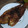 Cooksnap dari alveonita kristanto untuk resep Ikan Bakar Teflon (Ikan Nila)