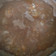 El cooksnap de Carolina González cuando hizo Lentejas con Arroz.