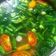 Cooksnap dari Hilda Dawood untuk resep 160. Sop Ayam ala Pak Min Klaten