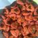 Cooksnap dari Sevti Wijaya untuk resep Butter cookies chocochips simple