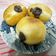 Cooksnap dari RAINBOW 🌈 untuk resep Donat Ekonomis no telur no susu no kentang metode autolysis