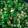Cooksnap dari Non Reva Almira untuk resep Popcorn rasa pandan