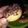 Cooksnap dari Dini Andrii untuk resep Donat Maizena