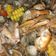 Cooksnap dari Dapur Marinda untuk resep Kepiting Saus Padang