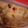 Er. Amrita Shrivastava 's cooksnap of when they made Samosa.