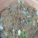 Cooksnap dari Poppy Manon untuk resep Bihun Goreng Special Rumahan