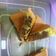 Cooksnap dari endah ambar untuk resep Marmer Cake Ala-ala