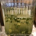 El cooksnap de Úrsula Von Pompillo cuando hizo Limonada de hierbabuena con notas de jengibre!.