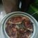 Cooksnap dari tiar untuk resep Cotton Japanese CheeseCake (Rice Cooker)