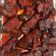 Cooksnap dari Felisitas Yuniantalia untuk resep Daging Panggang Merah (Pork Carsiew)