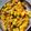 Anushri Pai's cooksnap of when they made मटार बटाटा भाजी (Matar Batata Bhaji Recipe In Marathi).
