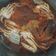 Cooksnap dari Kyky Purwanti untuk resep Udang Cumi saus padang ala resto seafood