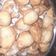 El cooksnap de Marisa Aguirre cuando hizo Buñuelos de harina leudante súper esponjosos.