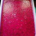 Cooksnap dari Yayan untuk resep Puding Buah Naga Merah #BandungRecook_Indah