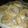 El cooksnap de juani Gernika cuando hizo Rosquillas de manteca y anís.